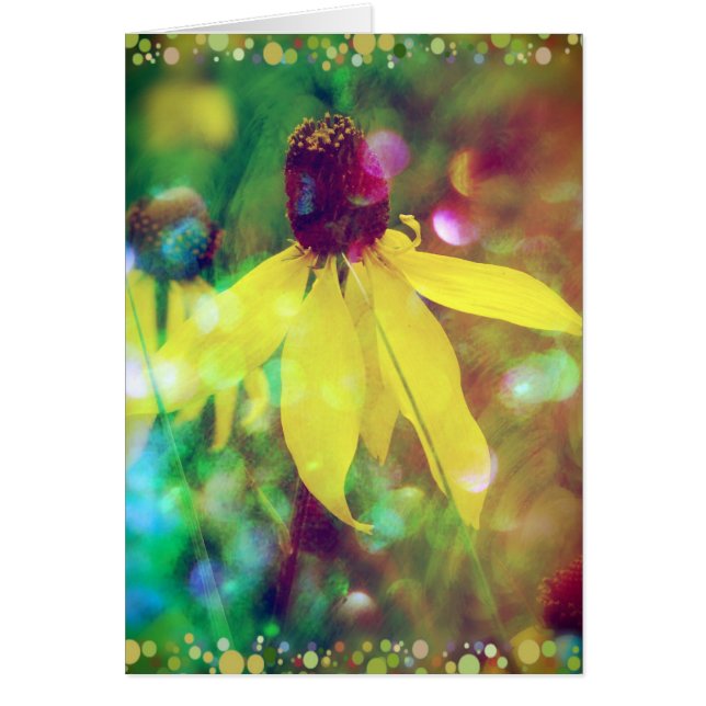 Yellow Summer Wildflower (Front)