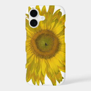 Yellow Sunflower