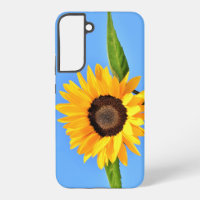 Yellow Sunflower Against Sun On Blue Sky