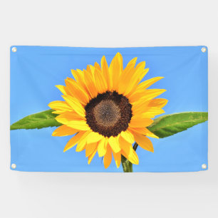 Yellow Sunflower Against Sun on Blue Sky - Summer Banner
