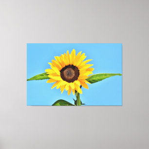 Yellow Sunflower Against Sun on Blue Sky - Summer Canvas Print