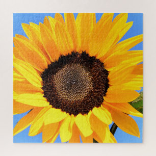 Yellow Sunflower Against Sun on Blue Sky - Summer  Jigsaw Puzzle