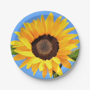 Yellow Sunflower Against Sun on Blue Sky - Summer  Paper Plate