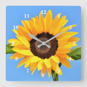 Yellow Sunflower Against Sun on Blue Sky - Summer Square Wall Clock