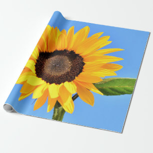 Yellow Sunflower Against Sun on Blue Sky - Summer  Wrapping Paper