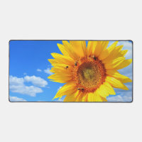 Yellow Sunflower and Bees on Blue Sky