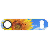 Yellow Sunflower and Bees on Blue Sky - Summer Day