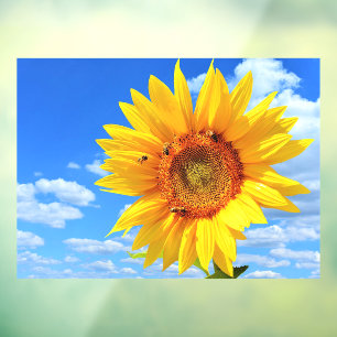 Yellow Sunflower and Bees on Blue Sky - Summer Day