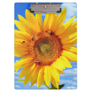 Yellow Sunflower and Bees on Blue Sky - Summer Day Clipboard