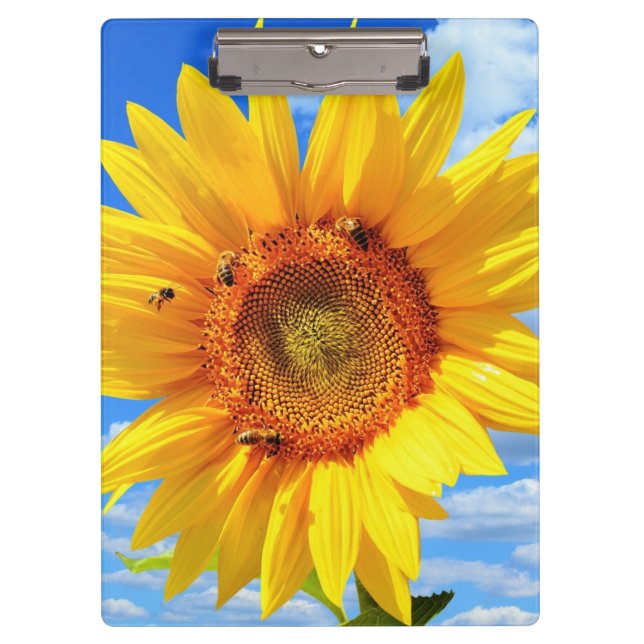 Yellow Sunflower and Bees on Blue Sky - Summer Day Clipboard (Front)