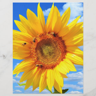 Yellow Sunflower and Bees on Blue Sky - Summer Day Custom Letterhead