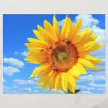 Yellow Sunflower and Bees on Blue Sky - Summer Day Flyer<br><div class="desc">Yellow Sunflower and Bees on Blue Sky - Summer Day - Photo Flower Nature - You can also personalize - Choose / Add Your Unique Photo - Image / Text - Name / Color / Font / Size / more - Make Your Special Gift - Resize and move or remove...</div>