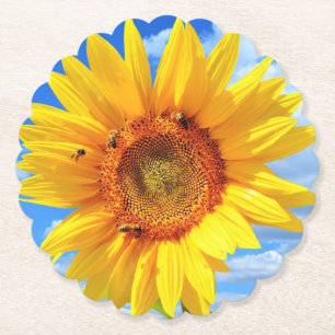 Yellow Sunflower and Bees on Blue Sky - Summer Day Paper Coaster