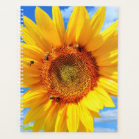 Yellow Sunflower and Bees on Blue Sky - Summer Day