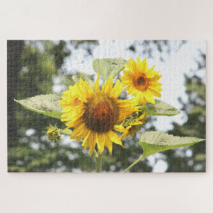 Yellow Sunflower Blooms Jigsaw Puzzle