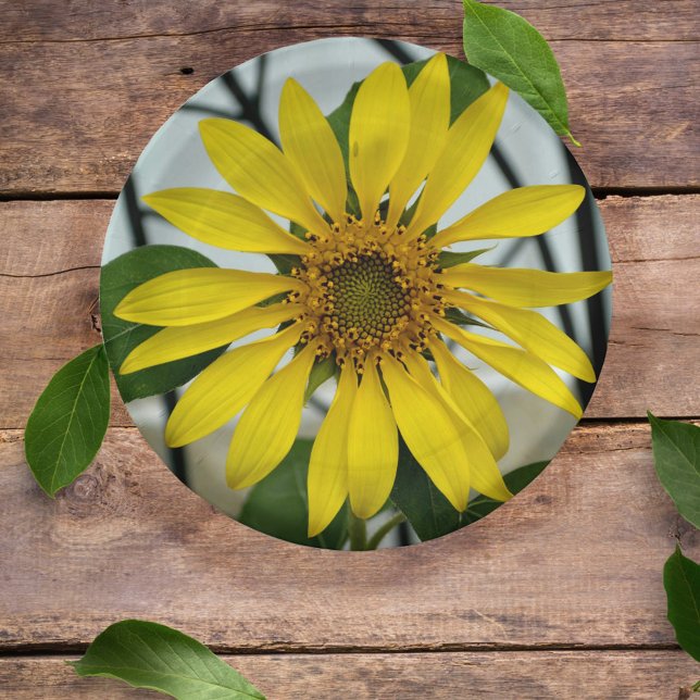 Yellow Sunflower Delicate Botanical Floral Paper Plate (Creator Uploaded)