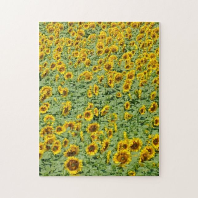 Yellow Sunflower Field Jigsaw Puzzle (Vertical)