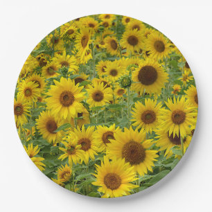 Yellow Sunflower Field Paper Plate