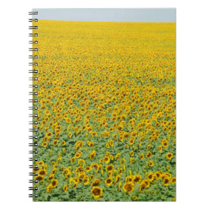 Yellow Sunflower Field Spiral Notebook