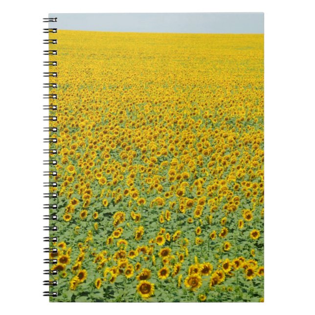 Yellow Sunflower Field Spiral Notebook (Front)