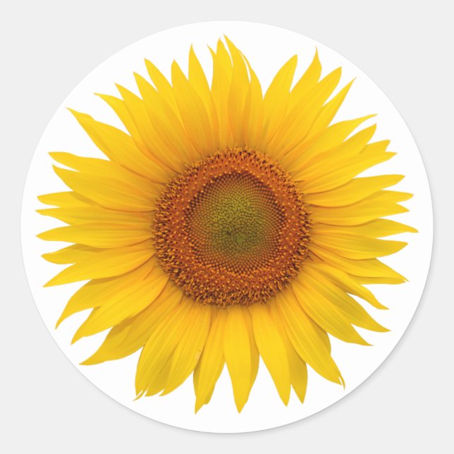 Yellow Sunflower Flower Envelope Seal Stickers (Front)