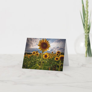 Yellow Sunflower Flower Hello, Love, Miss You Thank You Card