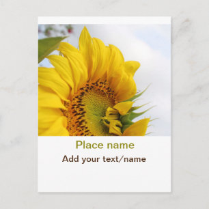 Yellow sunflower garden add photo text name travel postcard