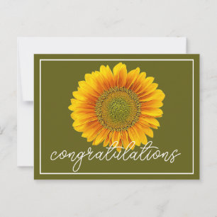 Yellow Sunflower Green Background Congratulations Postcard