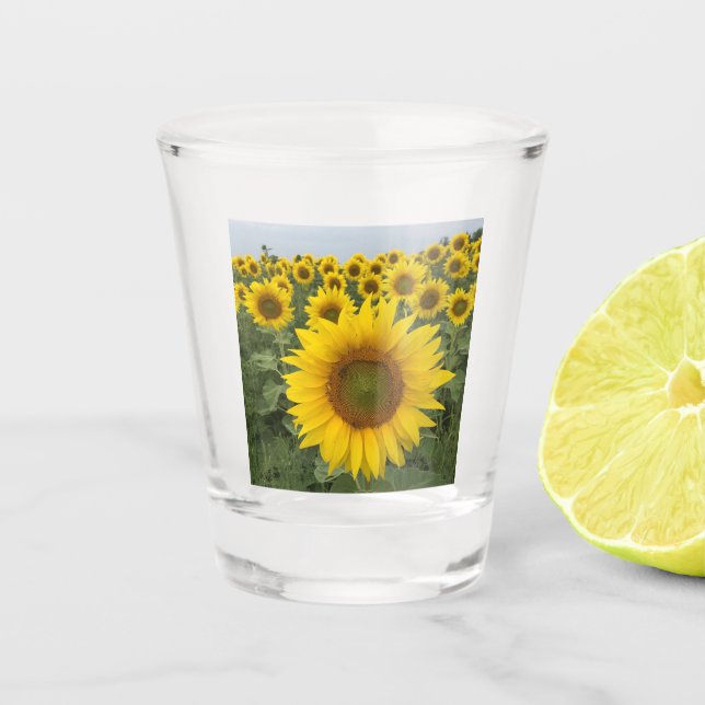 Yellow Sunflower Harvest Shot Glass (Front)