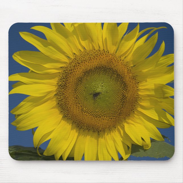 Yellow Sunflower Mouse Pad (Front)