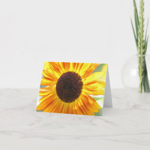 Yellow Sunflower Note Cards
