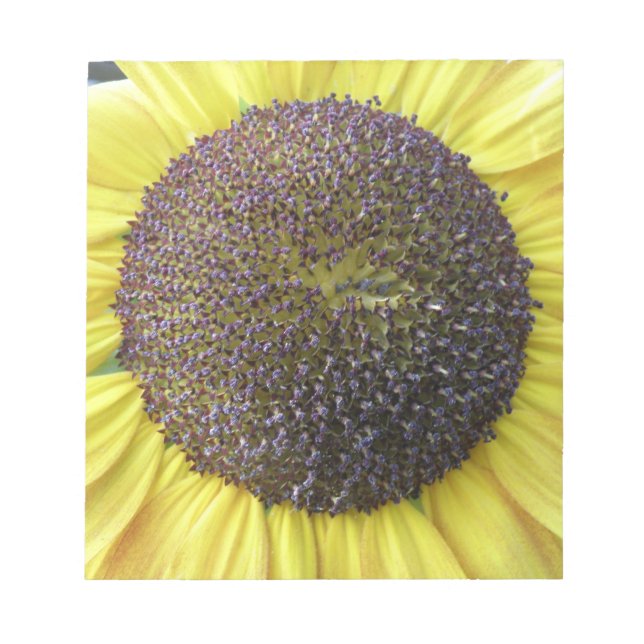 Yellow Sunflower Notepad (Front)