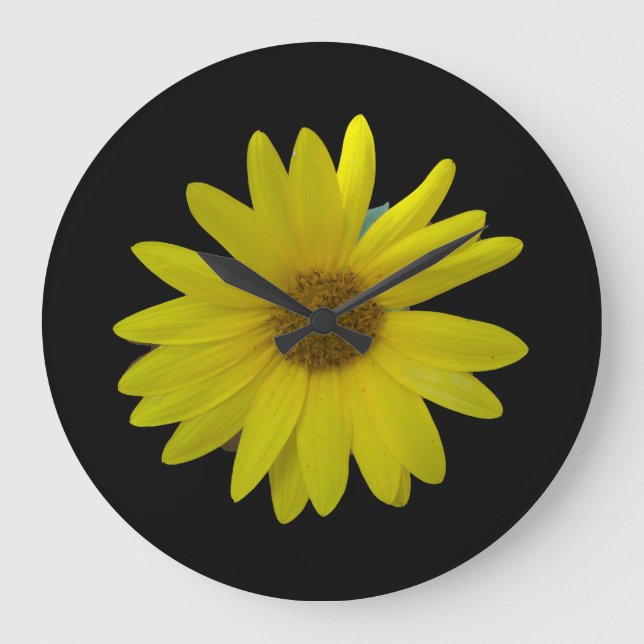 Yellow Sunflower on black background Large Clock (Front)