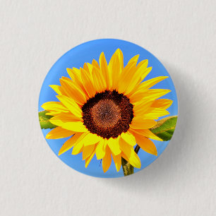 Yellow Sunflower on Blue Sky Button