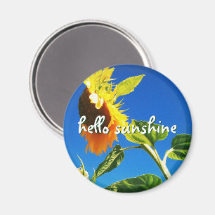 Yellow Sunflower Photo Hello Sunshine Script Bold Magnet