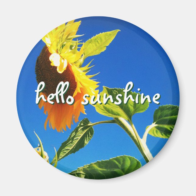 Yellow Sunflower Photo Hello Sunshine Script Bold Magnet (Front)