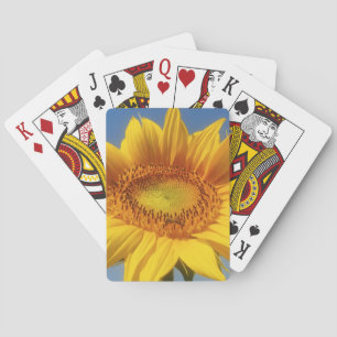 Yellow Sunflower Playing Cards