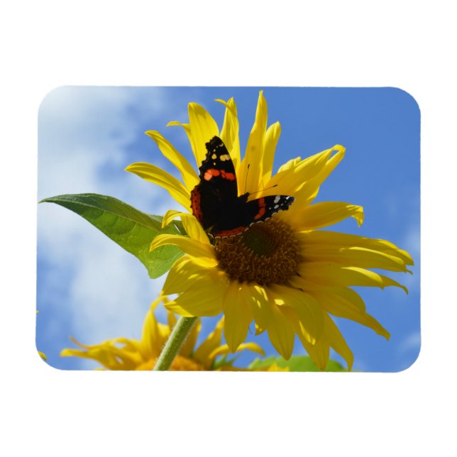 Yellow Sunflower & Red Admiral Butterfly Magnet (Horizontal)