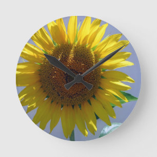 Yellow Sunflower Round Clock