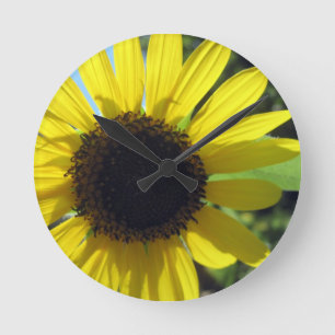 Yellow Sunflower Round Clock