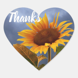 Yellow Sunflower Thank You Blue Floral Heart Sticker