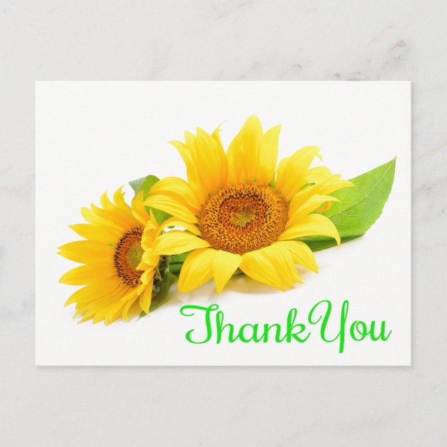 Yellow Sunflower Thank You Green Wedding Flowers Postcard (Front)