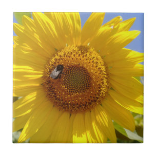 Yellow Sunflower Tile