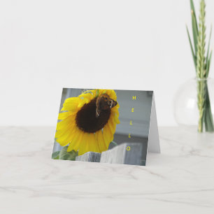 Yellow Sunflower with Buckeye Butterfly Card