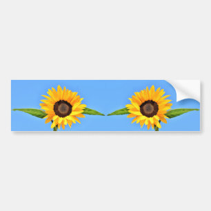 Yellow Sunflowers Against Sun on Blue Sky - Summer Bumper Sticker