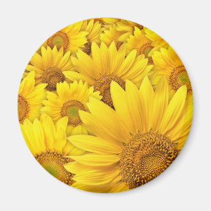 Yellow Sunflowers Magnet