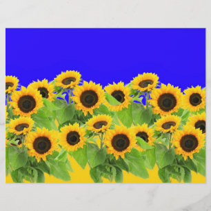Yellow Sunflowers on Blue Sky Custom Letterhead