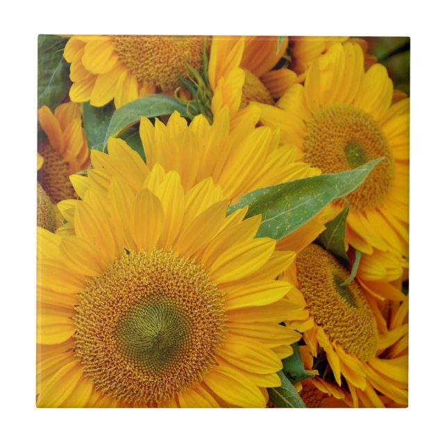 Yellow sunflowers print tile (Front)