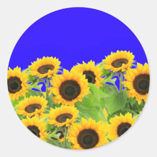 Yellow Sunflowers Stickers 