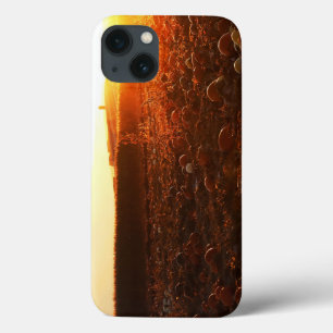 Yellow Sunset Pumpkin Patch iPhone 13 Case